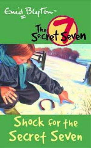 Shock for the Secret Seven by enid-blyton, enid-blyton