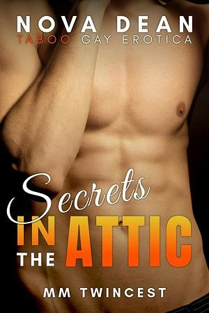 Secrets In The Attic by Nova Dean