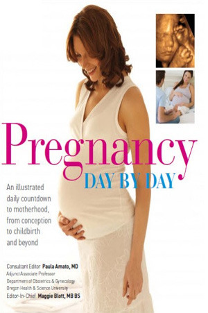 Pregnancy Day By Day by Paula Amato, Patrick O'Brien, Karen Sullivan, Laura Goetzl, Carol Cooper, Su Laurent