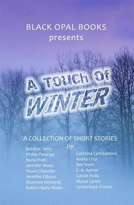 A Touch of Winter by E.A. Aymar, Lynda Kaye Frazier, Jennifer Moss, Shannon Kennedy, Carole Avila, Jennifer Gibson, Nana Prah, Dawn Chandler, Aneta Cruz, Robert Boris Riskin, Alyssa Lyons, Bev Irwin, Bobbye Terry, Cathrina Constantine, Pinkie Paranya