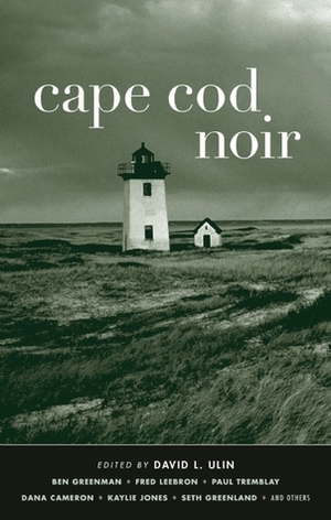 Cape Cod Noir by David L. Ulin