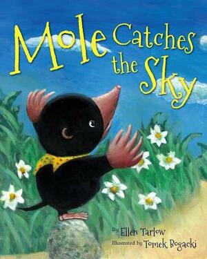 Mole Catches the Sky by Ellen Tarlow