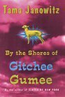 By the Shores of Gitchee Gumee by Tama Janowitz