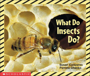 What Do Insects Do? by Pamela Chanko, Susan Cañizares