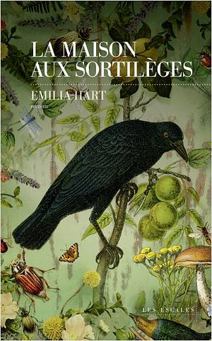 La maison aux sortilèges by Emilia Hart