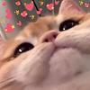 chizushii's profile picture