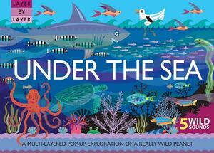 Layer by Layer: Under the Sea by Anne Rooney