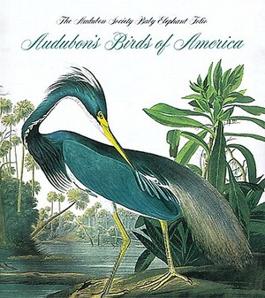 Audubon's Birds of America: The National Audubon Society Baby Elephant Folio (Tiny Folio) by Roger Troy Peterson
