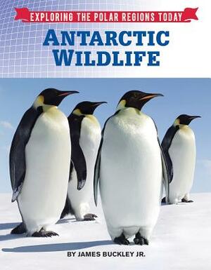 Antarctic Wildlife by James Buckley