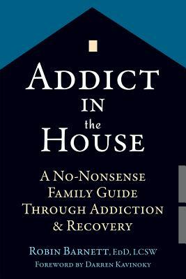 Addict in the House: A No-Nonsense Family Guide Through Addiction and Recovery by Robin Barnett