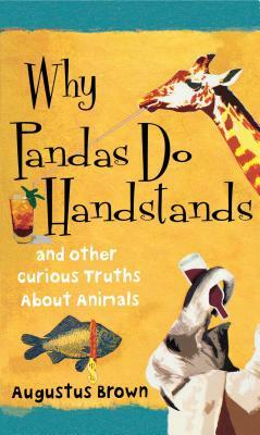 Why Pandas Do Handstands: And Other Curious Truths about Animals by Augustus Brown