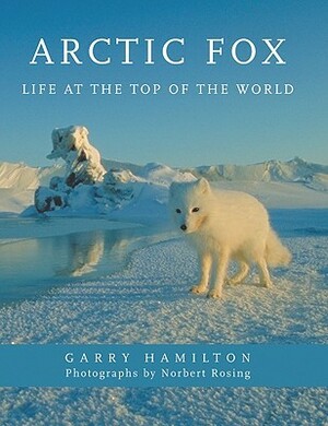 Arctic Fox: Life at the Top of the World by Norbert Rosing, Garry Hamilton