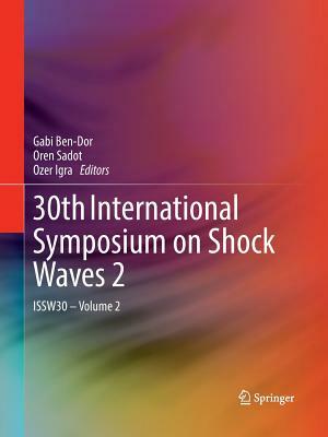 30th International Symposium on Shock Waves 2: Issw30 - Volume 2 by 