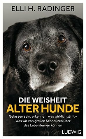 Die Weisheit alter Hunde: Gelassen sein, erkennen, was wirklich zählt – Was wir von grauen Schnauzen über das Leben lernen können by Elli H. Radinger