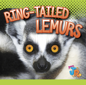 Ring-Tailed Lemurs by Marysa Storm