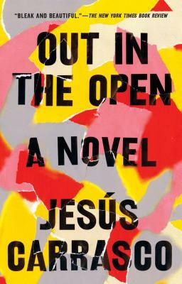 Out in the Open by Jesús Carrasco