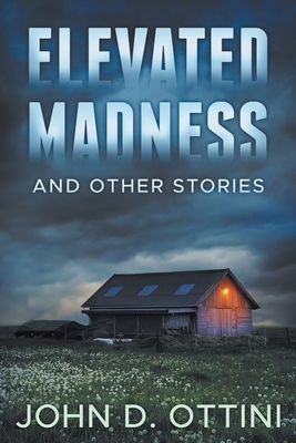 Elevated Madness and Other Stories by John D. Ottini