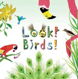 Look! Birds! by Stephanie Calmenson