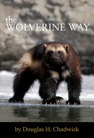 The Wolverine Way by Douglas H. Chadwick