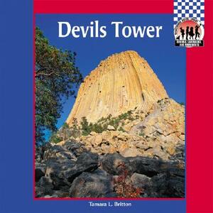 Devil's Tower by Tamara L. Britton