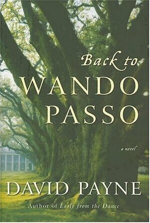 Back to Wando Passo by David Payne