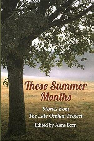 These Summer Months: Stories from The Late Orphan Project by Eileen Ward, Karen Blue, Brianna Meinke, Clive Collins, Greg Correll, Anne Born, T.K.Thorne, Aida Zilelian, Margaret Van Every, Lea Lane, Bonafide Rojas, Claire Fitzpatrick, Suzanne Smith, Erin O'Meara, Kathy Koches, Lee Gaitan, Don Fleming, Rob Smith, Susan Mihalic, Scott Raven, Lorraine Berry, Liz Gauthier, Christine Geery, Mary Kay Jordan Fleming, Brian T. Silak, Molly Stevens