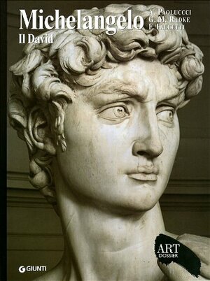 Michelangelo: Il David by Antonio Paolucci, Gary M. Radke