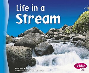 Life in a Stream by Carol K. Lindeen