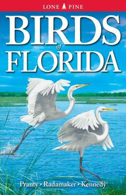 Birds of Florida by Bill Pranty, Kurt Radamaker, Gregory Kennedy
