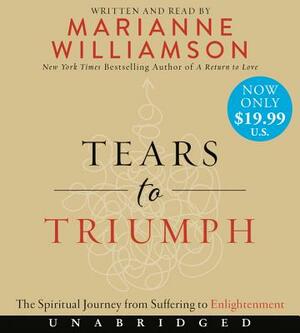 Standing in the Breach: Closing the Gap Between Suffering and Enlightenment by Marianne Williamson