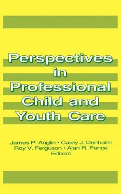 Perspectives in Professional Child and Youth Care by Jerome Beker