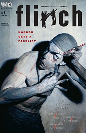 Flinch (1999-) #1 by Ian Carney, Ted McKeever, Mark Wheatley, Ken Rothstein, Paul Jenkins, Steven T. Seagle, Charlie Boatner, John Kuramoto, Kent Williams, Bruce Jones, John Arcudi, Scott Cunningham, William Messner-Loebs, Devin Grayson, Colin Raff, Will Pfeifer, Jim Woodring, Robert Rodi, John Rozum, Joe R. Lansdale, Tony Bedard, Darko Macan, Dean Motter, Guy Gonzales, Phil Hester, Mike Carey, Jen Van Meter, Thom Metzger, Bob Fingerman, Brian Azzarello, Garth Ennis, Bill Willingham, Roger Langridge, Ty Templeton, Lucius Shepard, Ivan Velez Jr., Greg Rucka, Richard Bruning