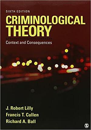 BUNDLE: Lilly: Criminological Theory 6e + Wright: Criminals in the Making 2e by John P. Wright, J. Robert Lilly