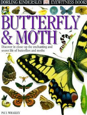 DK Eyewitness Books: Butterfly and Moth by Paul Whalley