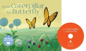 From Caterpillar to Butterfly by Steven Anderson