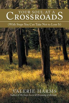 Your Soul at a Crossroads: (With Steps You Can Take Not to Lose It) by Valerie Harms