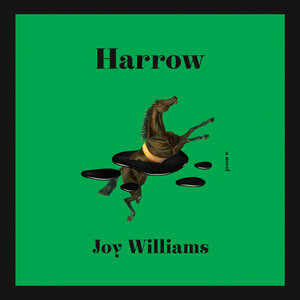 Harrow by Joy Williams