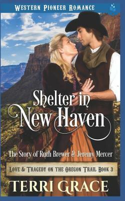 Shelter in New Haven: The Story of Ruth Brewer & Jeremy Mercer by Terri Grace