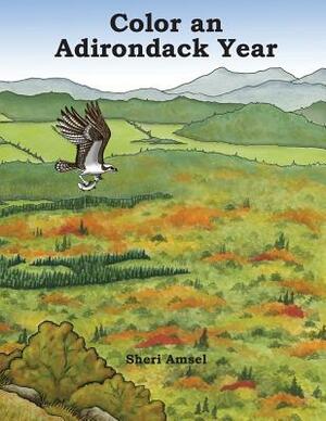 Color an Adirondack Year by Sheri Amsel