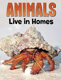 Animals Live in Homes by Nadia Ali