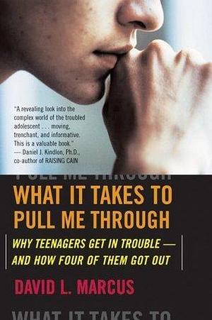 What It Takes To Pull Me Through: Why Teenagers Get in Trouble and How Four of Them Got Out by David L. Marcus, David L. Marcus