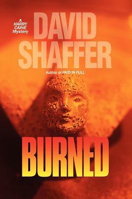 Burned by David Shaffer