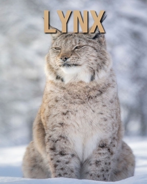Lynx: Amazing Facts & Pictures by Jessica Joe