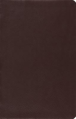 Large Print Thinline Reference Bible-ESV by 