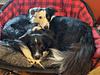 eilidh_scuin's profile picture