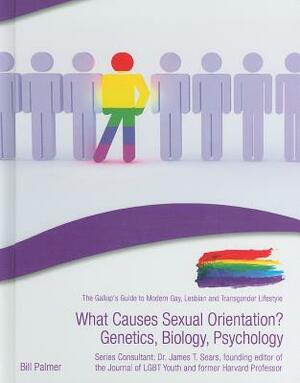 What Causes Sexual Orientation?: Genetics, Biology, Psychology by Bill Palmer