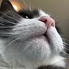 endcrdits's profile picture