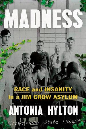 Madness: The Search for Sanity in an Asylum, and the Legacy of Race in Mental Health by Antonia A. Hylton