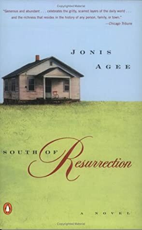 South of Resurrection by Jonis Agee