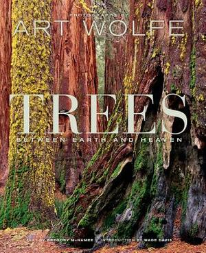 Trees, Volume 1: Between Earth and Heaven by Gregory McNamee
